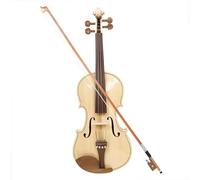 Violin Starter Kit 4/4 Spruce Wood Acoustic Violin For Beginner/Professional With Case And Bow Jujube Wood Fingerboard Tuning Pegs