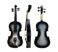 Violin Starter Kit Handmade With Case Easy Carry Nice Voice 4/4 Size Colorful Beginner Acoustic Violin