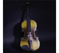 Violin Starter Kit Mating Violin 4/4 Solid Violin Exercise Test Performance Violin Instrument