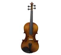 Violin Starter Kit Natural Color Violin Basswood Popular Violin Beginner Practice Violin With Triangle Violin Case(4/4)
