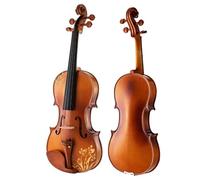 Violin Starter Kit Professional 4/4 Violin Music Instrument Hand Made Master Acoustic Violin