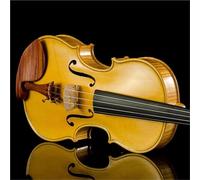 Violin Starter Kit Purely Handmade Violin Bright Yellow With Rosewood Fittings 4/4 Size Solid Spruce Two-piece Flame Maple Back