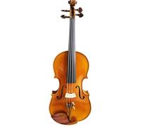 Violin Starter Kit Spruce Handmade Violin Strong Tone Varnish Violin 4/4 Professional Golden Violino(4/4)