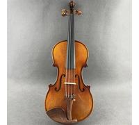 Violin Starter Kit Varnished Solid 4/4 Violin Hand Made Musical Instrument With Case