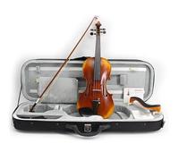 Violin Starter Kit Violin 4/4 Professional Violins 25 Years Natural Drying Spruce Master Professional Violin