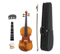 Violin Starter Package 1/4 Violin Beginners Course Learn Instrument Sub-gloss Panel Violin With Parts(Set)