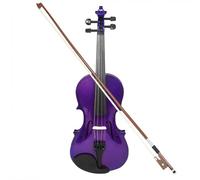Violin Starter Package 4/4 Full Size Solid Wood Acoustic Violin For Violin Beginner With Case And Bow Purple/Green Color Fiddle(Purple)