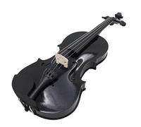 Violin Starter Package 4/4 Popular Violin Solid Wood Plastic Accessories Adult Beginner Violin With Violin Case(Black)
