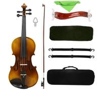 Violin Starter Package 4/4 Violin Natural Acoustic Violin Fiddle With Case & Bow & Shoulder Support Accessories