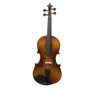 Violin Starter Package Basswood Violin Solid Wood Popular Violin Beginner Practice Violin With Violin Case(1/4)