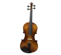 Violin Starter Package Basswood Violin Solid Wood Popular Violin Beginner Practice Violin With Violin Case(4/4)