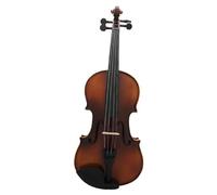 Violin Starter Package Violin Spruce Solid Wood Panel For Beginners And Adults To Play Violin(4/4)