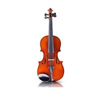 Violin Test Grade Violin Beginner Professional Student Handmade Adult Violin Instrument (Color : 1/2)