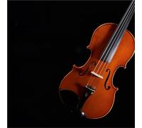 Violin Varnished Violin 4/4 Professional Performance Violin(4/4)