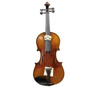 Violin Violin 4/4 Spruce Panel Pattern Ebony Accessories With Hard Case Shoulder Rest Bow Strings Mute