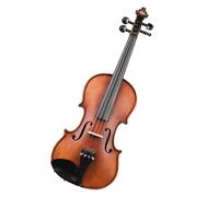 Violin Violin Performance Level Examination Beginners Practice Adult Performance Getting Started (Color : 1/4)