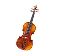 Violin Violin Professional Examination Adult Maplewood Performance Advanced Professional Level