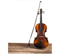 Violin Violin Professional Examination Beginners Practice Handmade Solid Wood Violins (Color : 4/4)