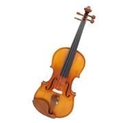 Violin Violin Spruce Panel Full Size 3/4 4/4 1/2 Maple Tiger Pattern Violin Handmade Stringed Instrument Fiddle With Accessories (Color : 1/2 Set)