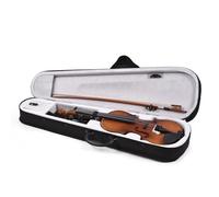 Violin, with a Delicate Spruce Top 4/4 Electric Violin Fiddle for Beginners, Students, School Learners, and Music Enthusiasts