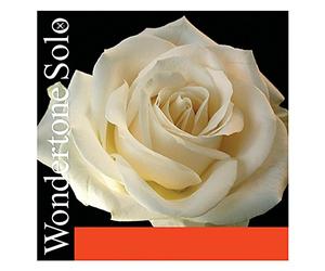 VIOLIN WONDERTONE SOLO 26.7 E SLG ADVANCED STEEL 26.7