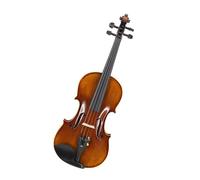 Violins Hand craft Full Size Violin Oil Varnish Naturel Flamed Maple