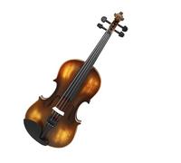 Violins Matte Violin Sets Beginners Basswood Accessories