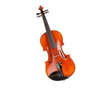 Violins Professional Violin Handmade From Air Dried Striped Maple