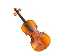 Violins Striped Maple Violin Full Size Single Board Back Instrument Handmade(1/2)