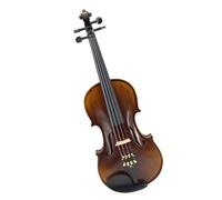Violins Violin And Nature Flamed Maple Acoustic Ebony Parts(4/4)