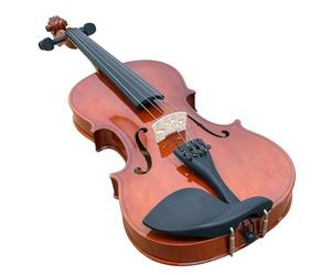 Violins Wooden Violin For Beginners With A Hard Case Shoulder Rest Bow Strings And Mute(1-8)
