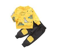 Vioyavo Infant Baby Boys Cute 2PCS Pants Sets Long Sleeve Dinosaur Print Round Neck Sweatshirt and Elastic Waist Ribbed Pants Tracksuit (Yellow, 3-4 Years)