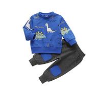 Vioyavo Infant Baby Boys Cute 2PCS Pants Sets Long Sleeve Dinosaur Print Round Neck Sweatshirt and Elastic Waist Ribbed Pants Tracksuit (Blue, 18-24 Months)