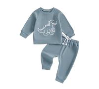 Vioyavo Toddler Baby Boys Clothes Set Dinosaur Embroidered Long Sleeve Sweatshirt Jumper Elastic Waist Jogger Pants 2 Pieces Fall Outfit (Blue, 0-6 Months)