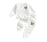 Vioyavo Toddler Baby Boys Fall Winter Clothes Bear Embroidered Long Sleeve Pullover Hoodie Elastic Waist Jogger Pants 2Pcs Tracksuit Outfit (White, 12-18 Months)