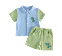 Vioyavo Toddler Boys Summer Clothes Set Dinosaur Print Short Sleeve Lapel Button Shirt Top Elastic Waist Shorts 2 Pieces Baby Outfits (Blue, 6-12 Months)