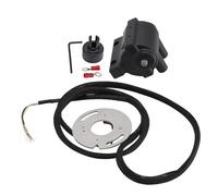VIPIH Complete Dual-Fire Ignition Coil Kit For 1970-2003 Big Twin Carb Models