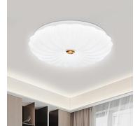 VIPMOON 22W Super Bright Kitchen Lights Ceiling, 6500K Cool White, 110W Equivalent Ceiling Lights for Bathroom, Porch, Kitchen, Utility Room, Hallway, Children’s Room, Study Room, Small Office