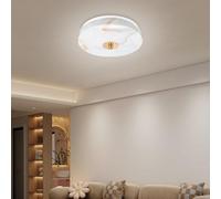 VIPMOON Super Brightness 22W 30W 42W 70W LED Ceiling Light, Gem Shell Light Fitting Suitable for Bedroom, Living Room (Modern, 22W)