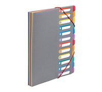 Viquel - A4 Document Folder with 12 compartments Rainbow Touch