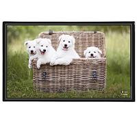 Viquel - Decorative Desk mat for Puppies/Kittens