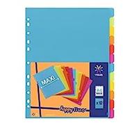 Viquel - Lot de 12 intercalaires en Plastique - Maxi Format (24,5x30,5cm) - Pour classeur A4 Maxi Format ou classeur à Levier - Coloris Fluo