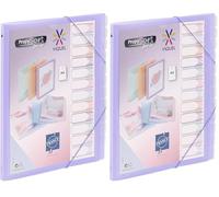 Viquel - Propysoft 12 Compartment A4 Customisable Organiser - Elastic Closure - Translucent Purple (Pack of 2)