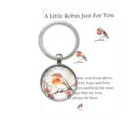 Virelle 1Pcs Little Robin Just For You Keychain - Sent from Above Gift for Mom, Sympathy Gift for Loss, Inspirational Gift of Comfort, Hope & Love, Remembrance Gift for Her/Him