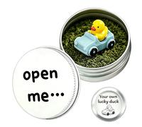 Virelle Lucky Duck Driving Test Gift - Good Luck for Learner & New Driver Gifts, Just Passed Driving Test Gift for Her Him, Duck Ornaments in Tin