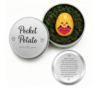 Virelle Tiny Pocket Potato with Tin Box, Cute Trinket You Are Awesome, Positive Pocket Potato Charm, Encouragement Gift for Women Spiritual Motivational Mindfulness Under 5 Pounds