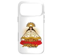 Virgen de Juquila - Santa Catarina Juquila, Oaxaca México Case for iPhone 17 Pro Max