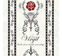 Virgil - Broken Stone Awake Sevendays