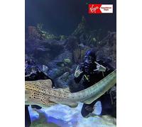Virgin Experience Days Dive with Sharks at Skegness Aquarium Black