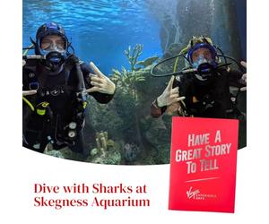 Virgin Experience Days Dive with Sharks at Skegness Aquarium - Lincolnshire - Take the plunge on Europe's only aquarium shark dive for complete novices